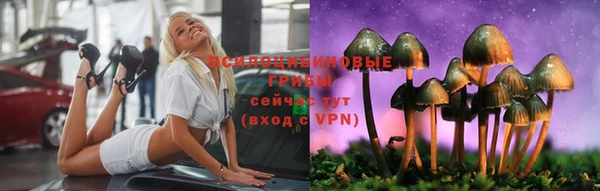 скорость Заводоуковск