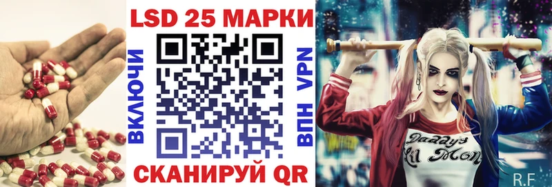где купить наркоту  Элиста  мориарти Telegram  Лсд 25 экстази ecstasy  kraken tor 